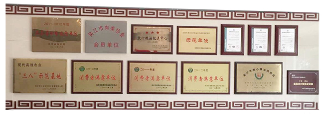 荣誉墙整体