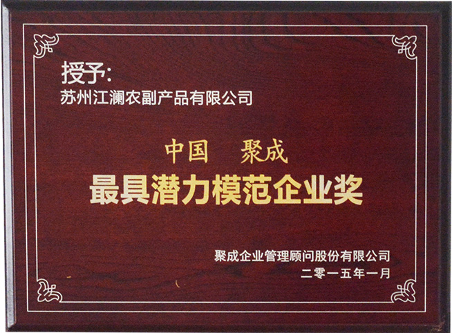 最具潜力模范企业奖