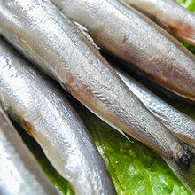 冷冻海鲜.jpg