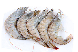 白虾.jpg