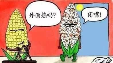图片0.jpg