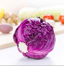 紫甘蓝
