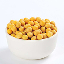 黄豆